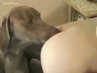 Balls unfathomable fucking for this legal age teenager and her dog
